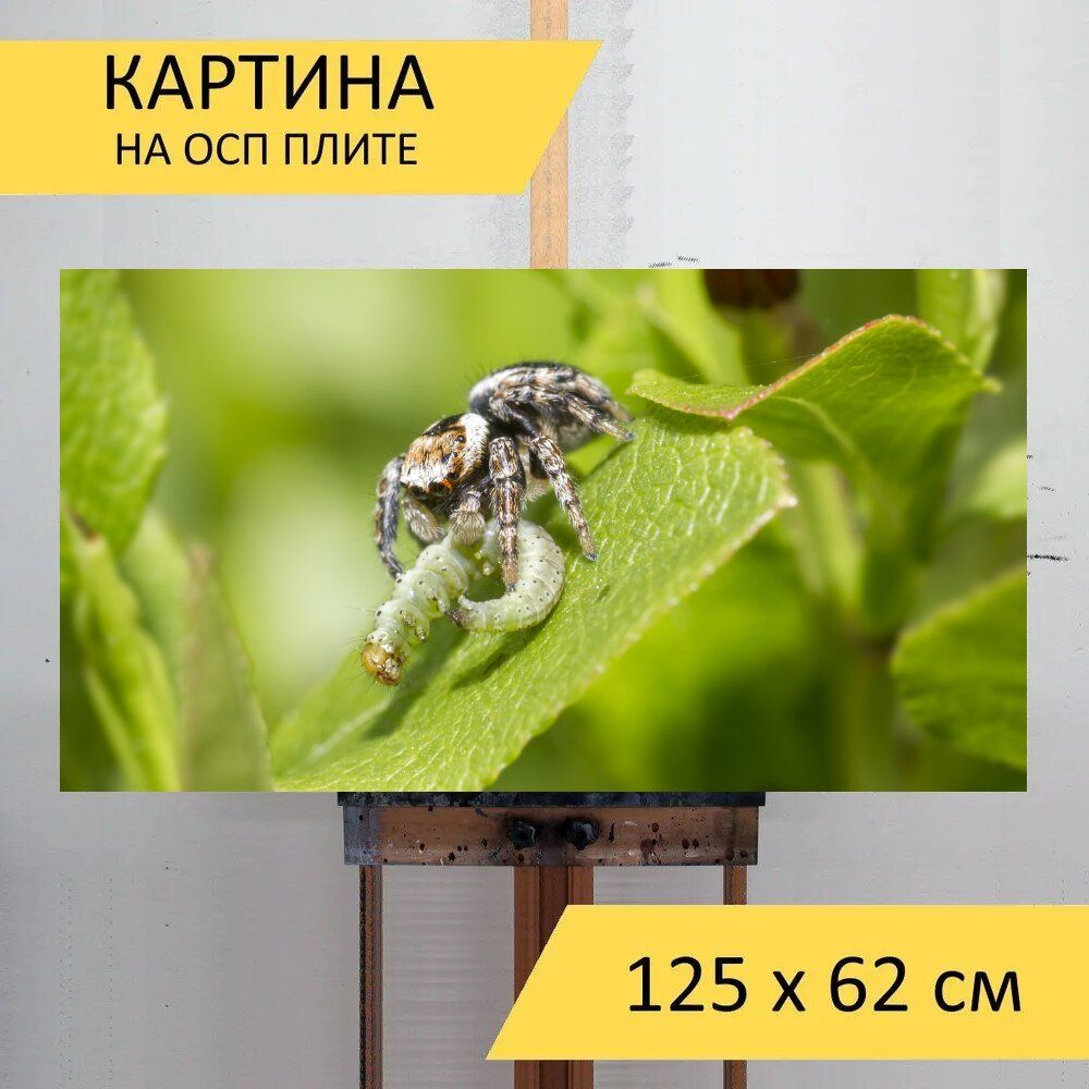 Картина животных 