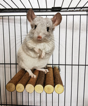 Клетка для шиншилл грызунов крыс большая, 2 полки 58х40х49см