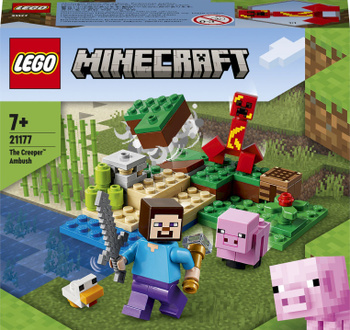 Lego minecraft best sale set 21139