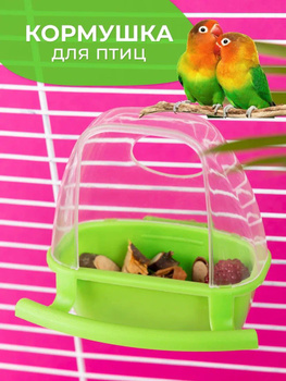 Попугаи, амадины, декоративные и хищные птицы из питомника в Москве