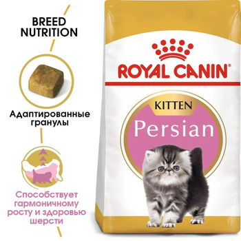 Royal canin store persian wet food