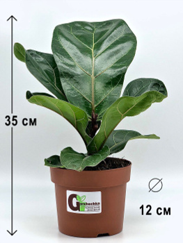 6698613064 6698613064