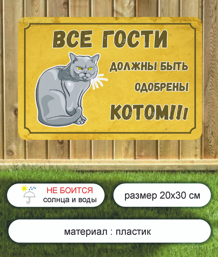 Когда пришли гости. Приходите в гости. Правила гостевого этикета. Правило поведения в гостях. В гостях я должен.