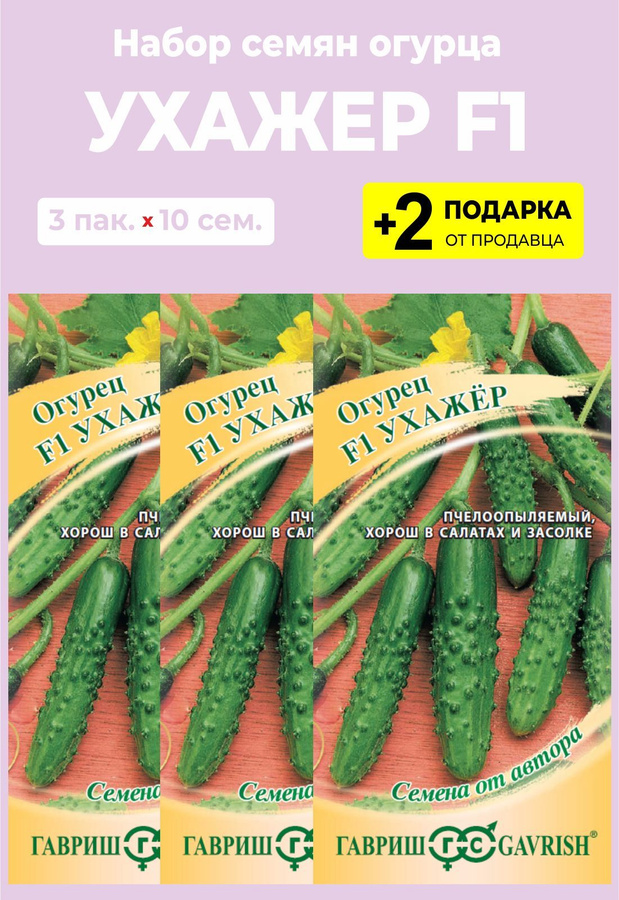 Ухажер огурец описание и отзывы. Огурец ухажер. Семена огурца ухажер. Огурцы ухажер фото.