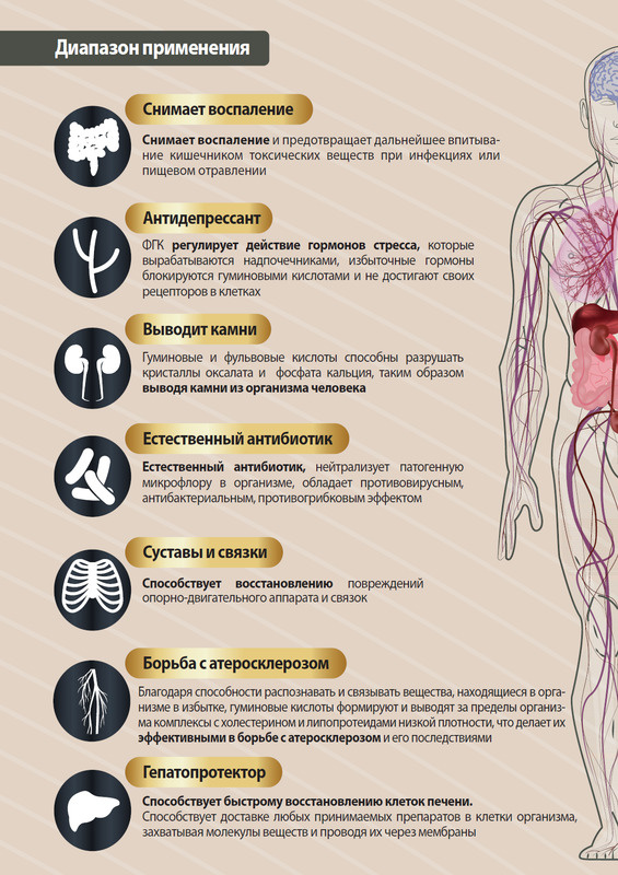 Текстовое описание изображения