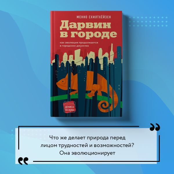 Текст при отключенной в браузере загрузке изображений
