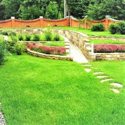 Газонные травы, Различные травы Canada Green Газон Премиум_1 - купить ...