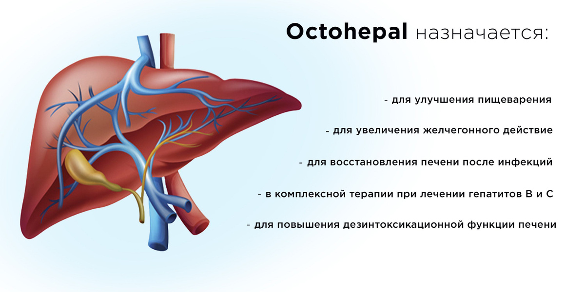 очищение печени лецетин комплекс для печени гепатит с защита печени таблетки для защиты печени детокс для печени бад для печени для печени бад индийские бады для печени аюрведа бады индия флавоноиды для восстановления печени антиоксиданты антиоксиданты комплекс витамины для печени гепатопротекторы для печени гепатопротектор защита печени от токсинов от холестерина  обмен веществ ускорение метаболизма инфекционные болезни