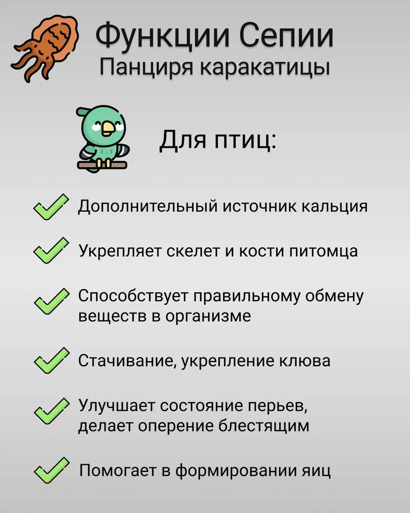 Сепия (минеральный камень) панцирь каракатицы для попугаев, улиток, черепах 9 см, 3 шт. (15 грамм) без крепления, 3 шт, фото 3