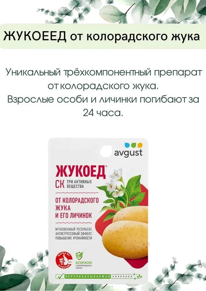 Жукоед от колорадского жука инструкция. Жукоед 9мл 80 август. Препарат Жукоед. Средство "Жукоед" от колорадского жука и его личинок, ампула 9мл, avgust. Жукоед 9 мл.