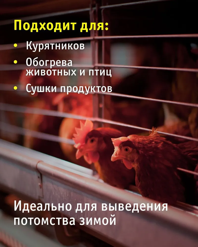 Инфракрасная лампа Navigator 93 972 для обогрева птиц и животных, 250 Вт, цоколь Е27, 250 Вт, фото 2