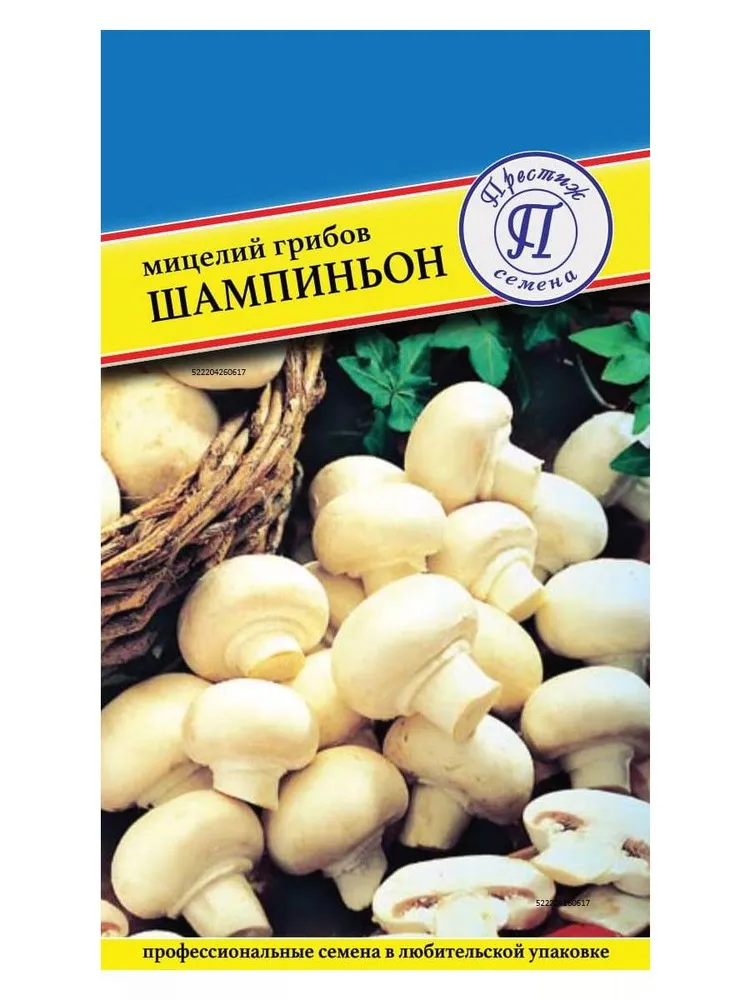 Мицелий грибов "Шампиньон белый", белый