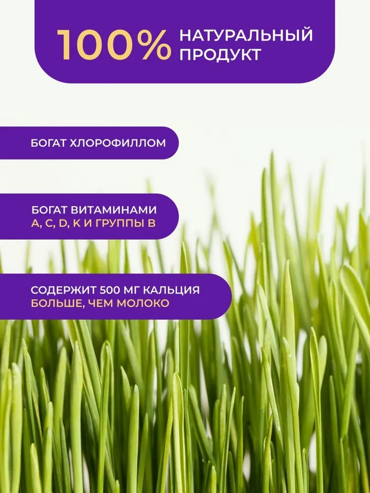 Барлейграсс Порошок ростков ячменя, 100 г, 100 г, фото 3