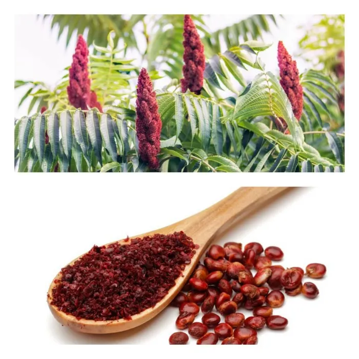 Сумах приправа из чего состоит. Сумах приправа азербайджанская. Сумах приправа из чего состоит. Сумах приправа азербайджанская. Сумах приправа из чего состоит.