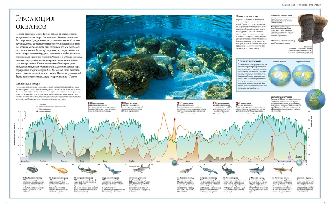 Океаны. Иллюстрированный атлас | Oceans: An Illustrated Atlas - Ozon image 3