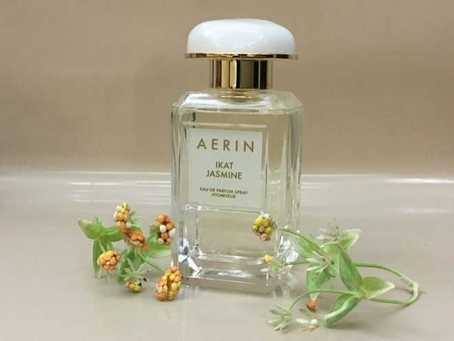 AERIN Ikat Jasmine 242 100 1463154198