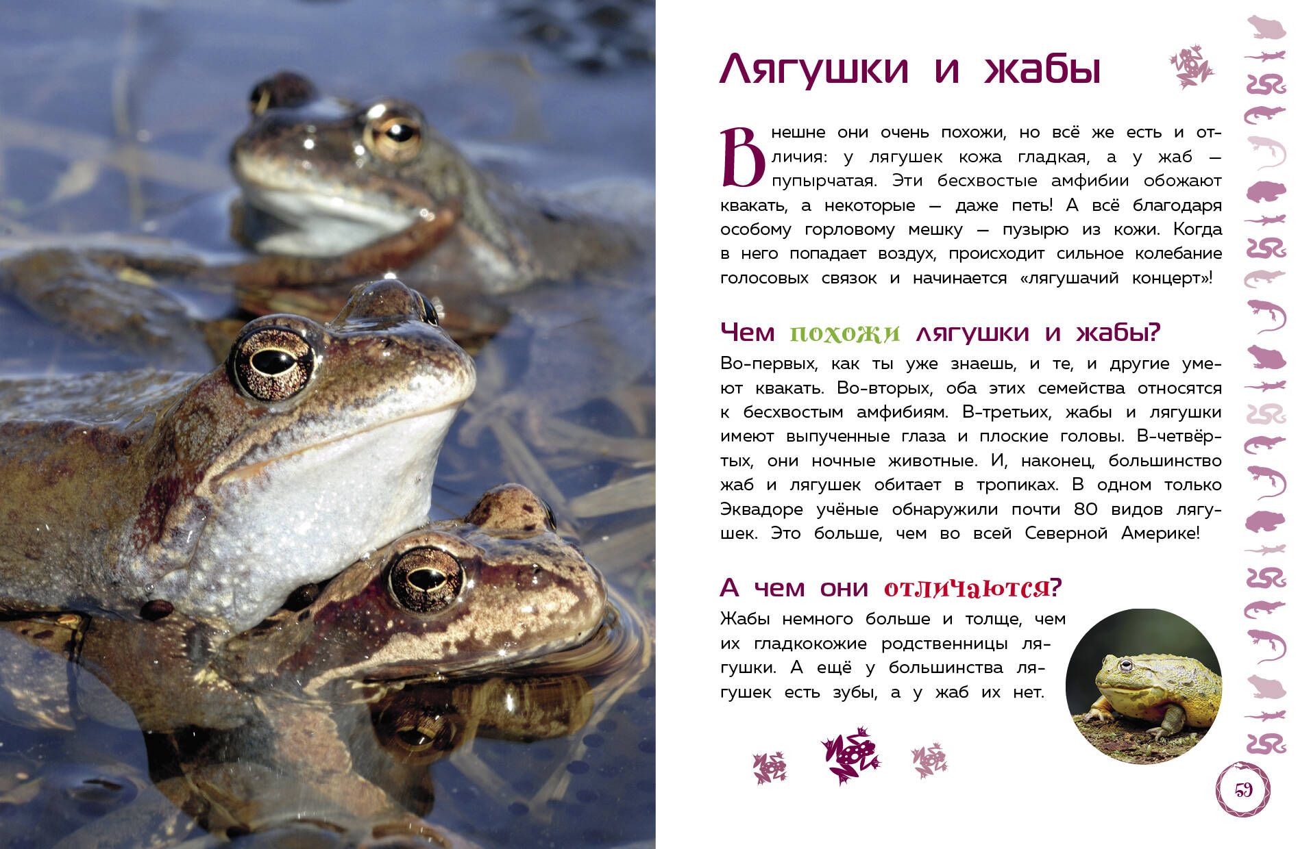 Животные. Большая детская энциклопедия | Reference Book - Ozon image 5