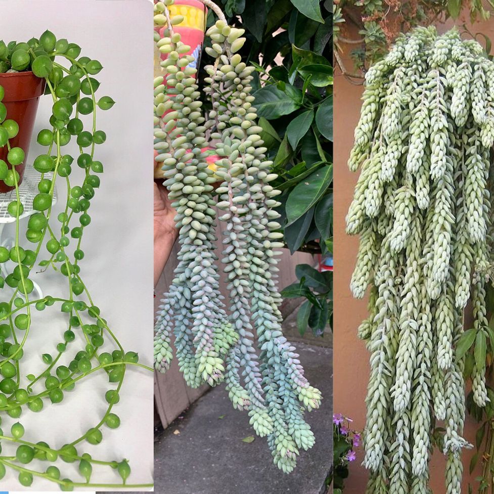 Бассейнде порно бейнелерді қараңыз Интернеттегі ең жақсы эротикалық бейнелерді тыңдаңыз