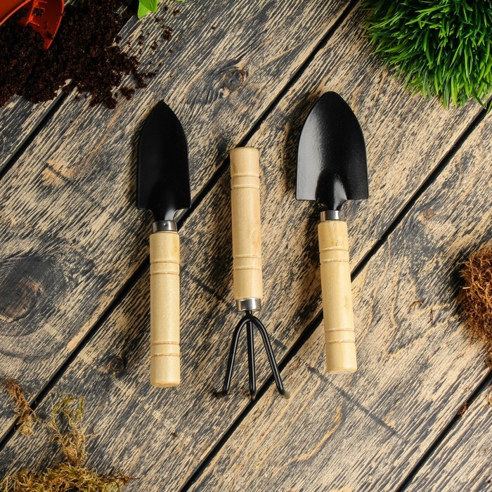 Набор садового инструмента, 3 предмета: рыхлитель, 2 совка, длина 20 см, деревянные ручки  #1