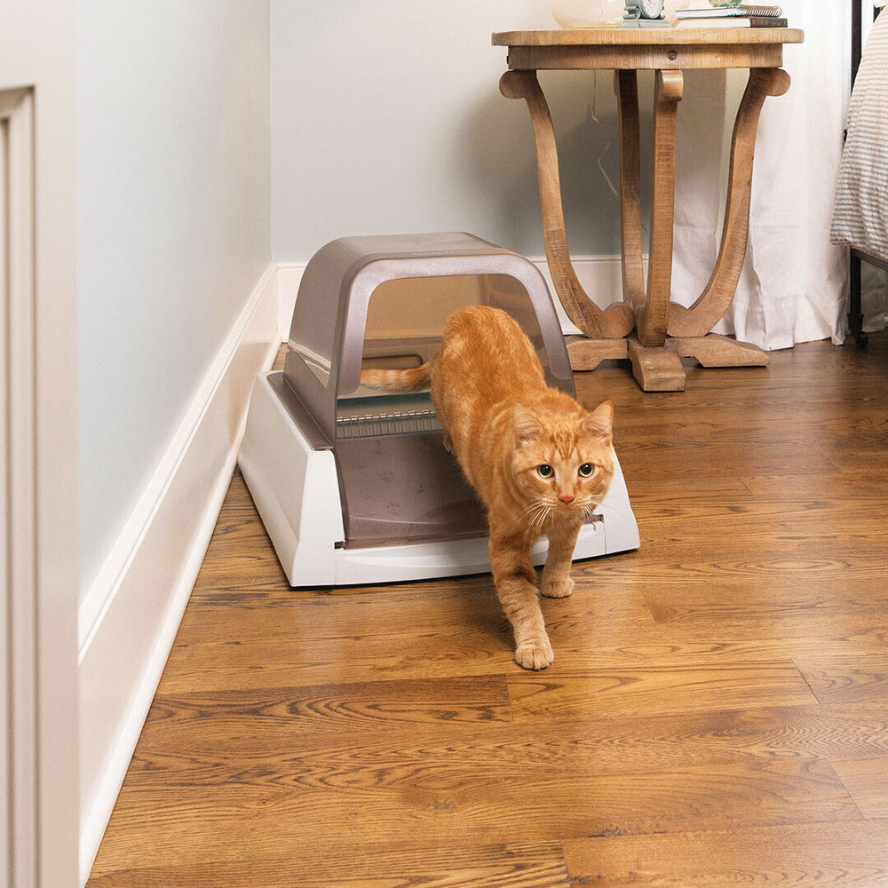 Petsafe hot sale ultra scoopfree