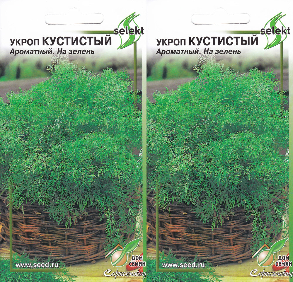 Укроп, Пряные травы Дом Семян Укроп Кустистый сорт_2 - купить по выгодным  ценам в интернет-магазине OZON (414066060)