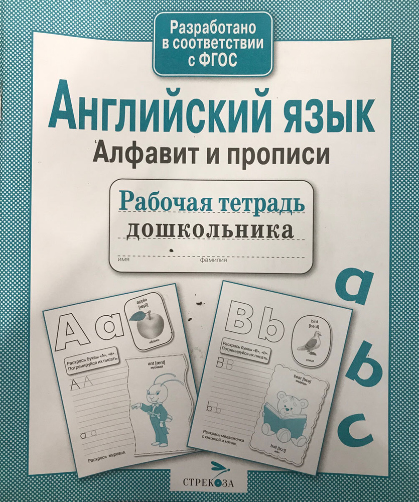 Английский язык. Алфавит и прописи. Рабочая тетрадь дошкольника | Васильева  И., Семакина Е. - купить с доставкой по выгодным ценам в интернет-магазине  OZON (137550407)