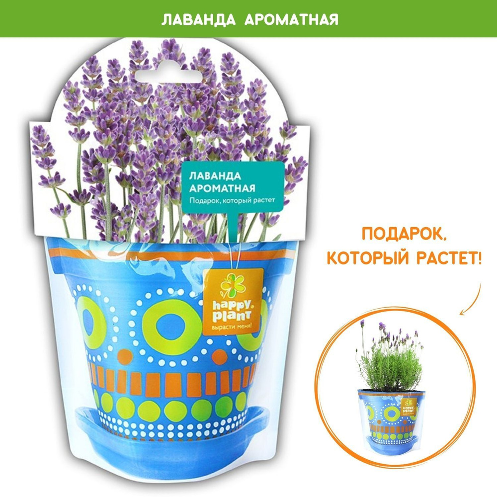 Набор для выращивания растений Happy Plant Лаванда ароматная