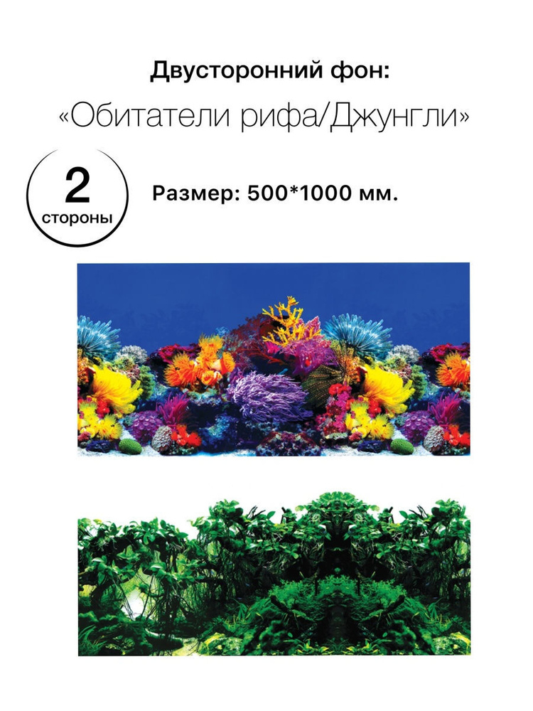 Фон для авквариума, 500*1000мм "Обитатели рифа/Джунгли" #1