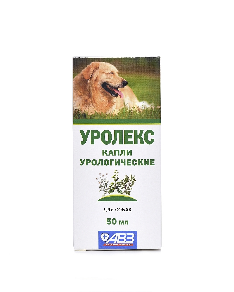 Капли урологические Уролекс для собак, 50 мл - купить с доставкой по  выгодным ценам в интернет-магазине OZON (176857447)