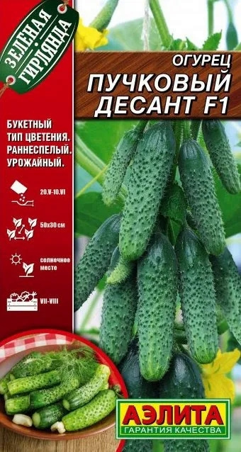 Семена Огурец Пучковый Десант F1 (10 семян) - Аэлита #1