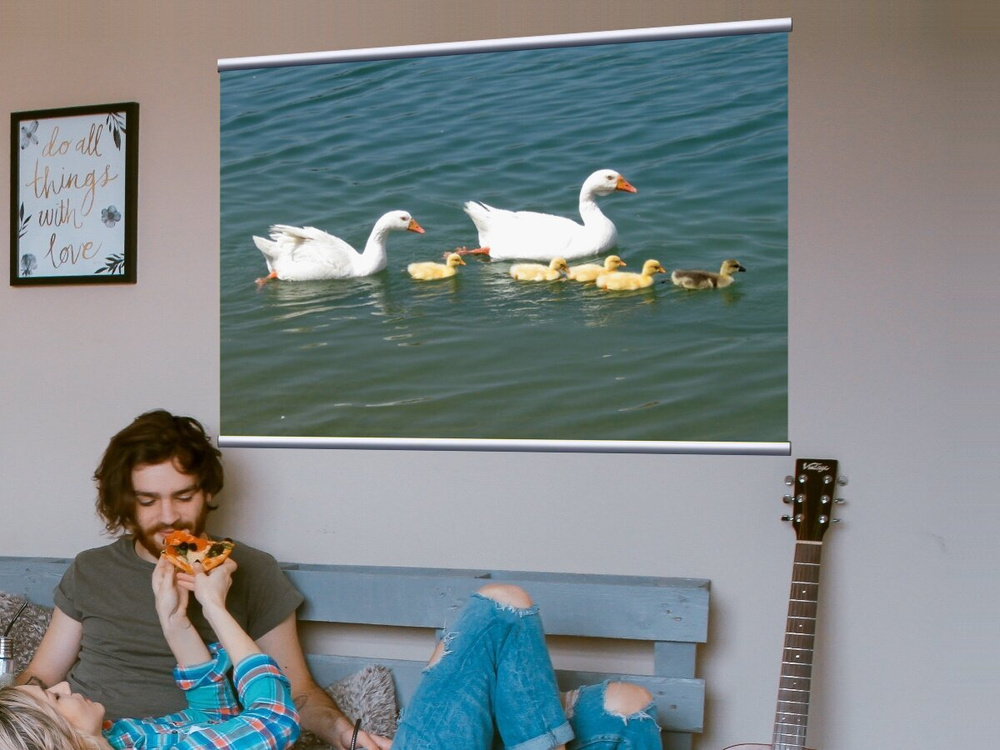 Картина на холсте "Гусь, гуси, гусянка" 120x90 см. с алюминиевым ...