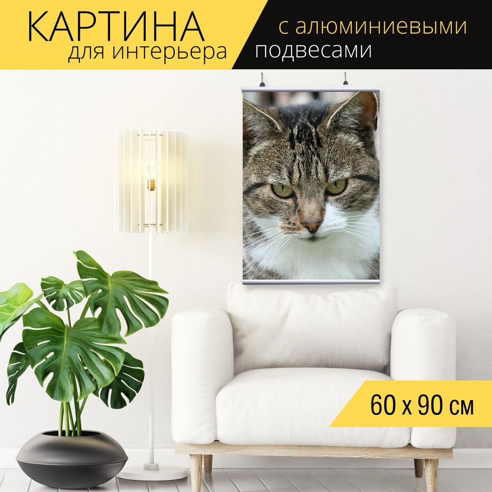 Кошки в дизайне интерьера