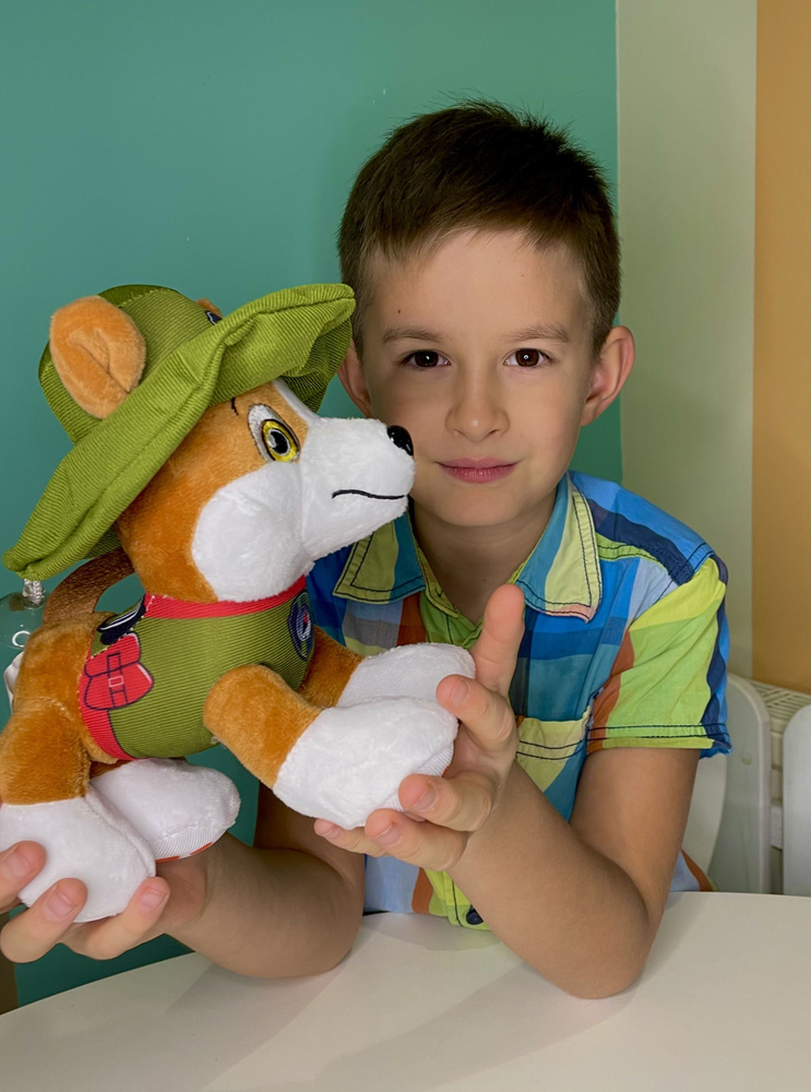 Мягкая игрушка щенок Трекер 20 см Plush Toys/Щенячий патруль/щенки ...