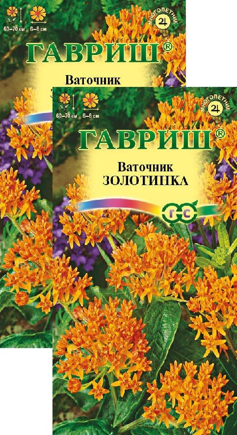 Ваточник Золотинка (клубненосный) (0,03 г), 2 пакета #1