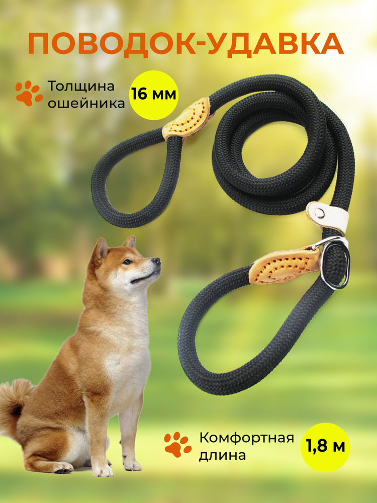 Поводок #1