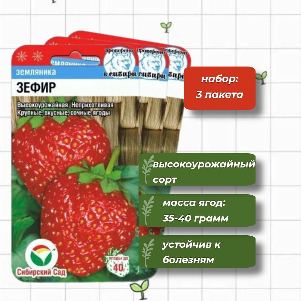 Земляника характеристика. Семена земляника руяна. Клубника в сибири. Земляника характеристика. Клубника гигантелла.