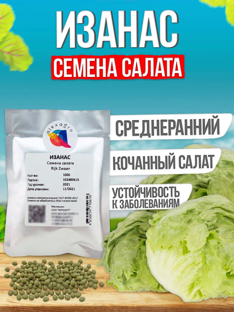 Изанас семена салата айсберг, 1000 шт. (Rijk Zwaan / ALEXAGRO). Высокоурожайный гибрид для открытого #1