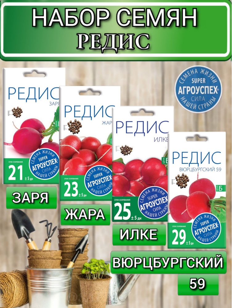 Семена редиса #1