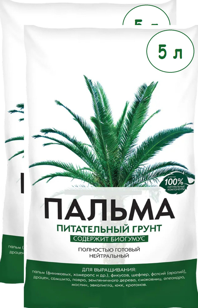 Продажа растений - пальма