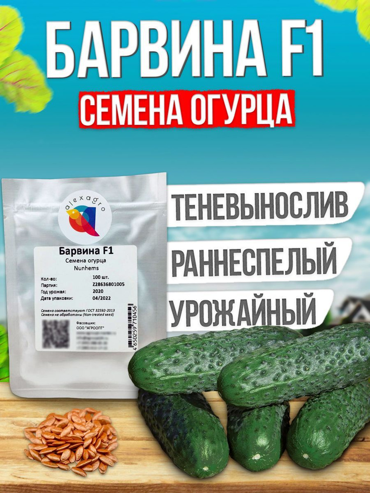 Барвина F1 семена огурца ранние, 100 шт. (Nunhems / ALEXAGRO). Высокоурожайный, партенокарпический гибрид #1