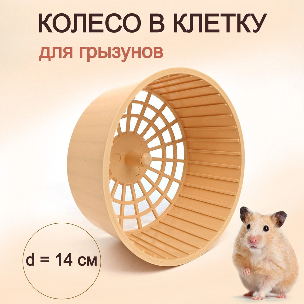 Колеса для грызунов (белки, хомяки, крысы): цены в интернет-магазине «PetsCage», купить
