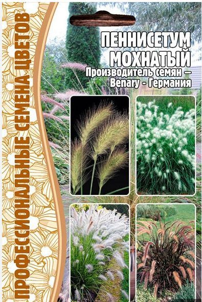 Григорьев Семена #1