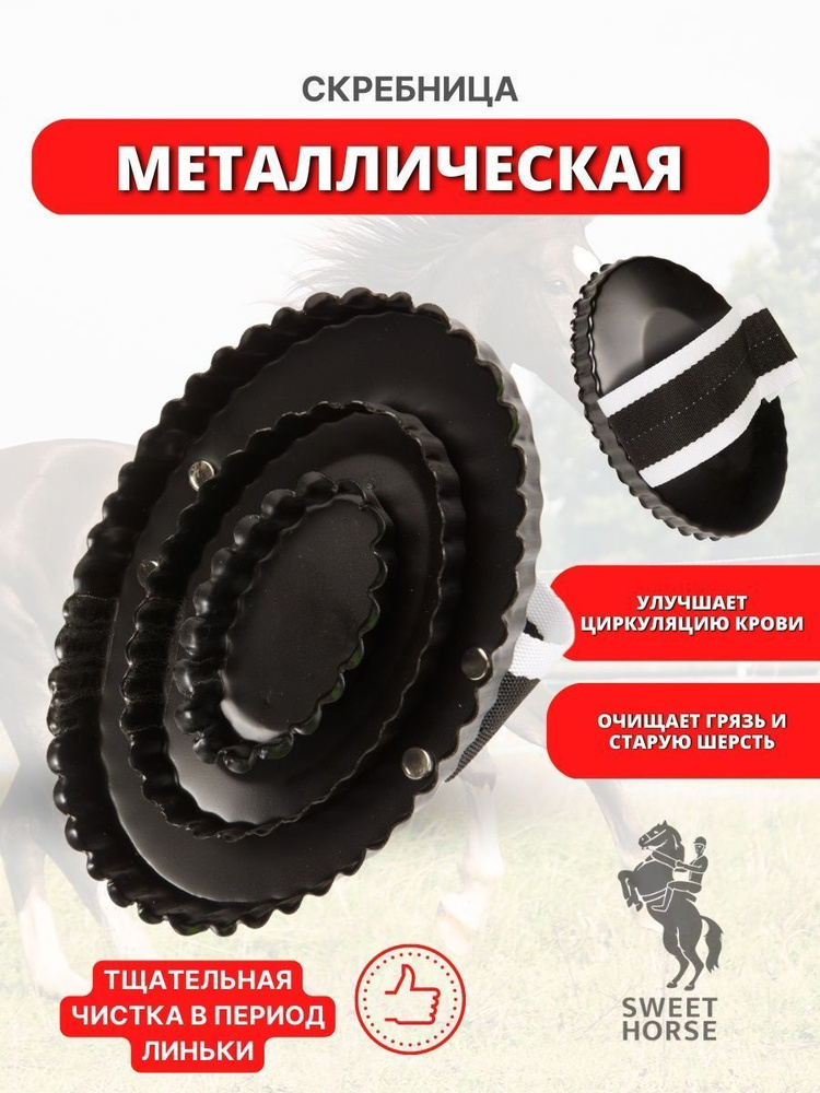 Скребница металлическая с ремешком #1