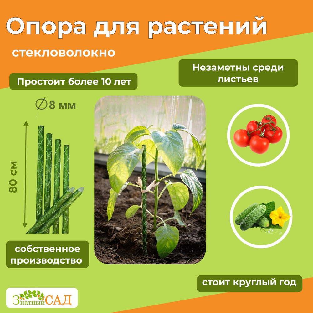 Колышки садовые / Опоры для растений Вечные из стекловолокна, высота 80см, диаметр 8мм, 5 шт, Знатный #1