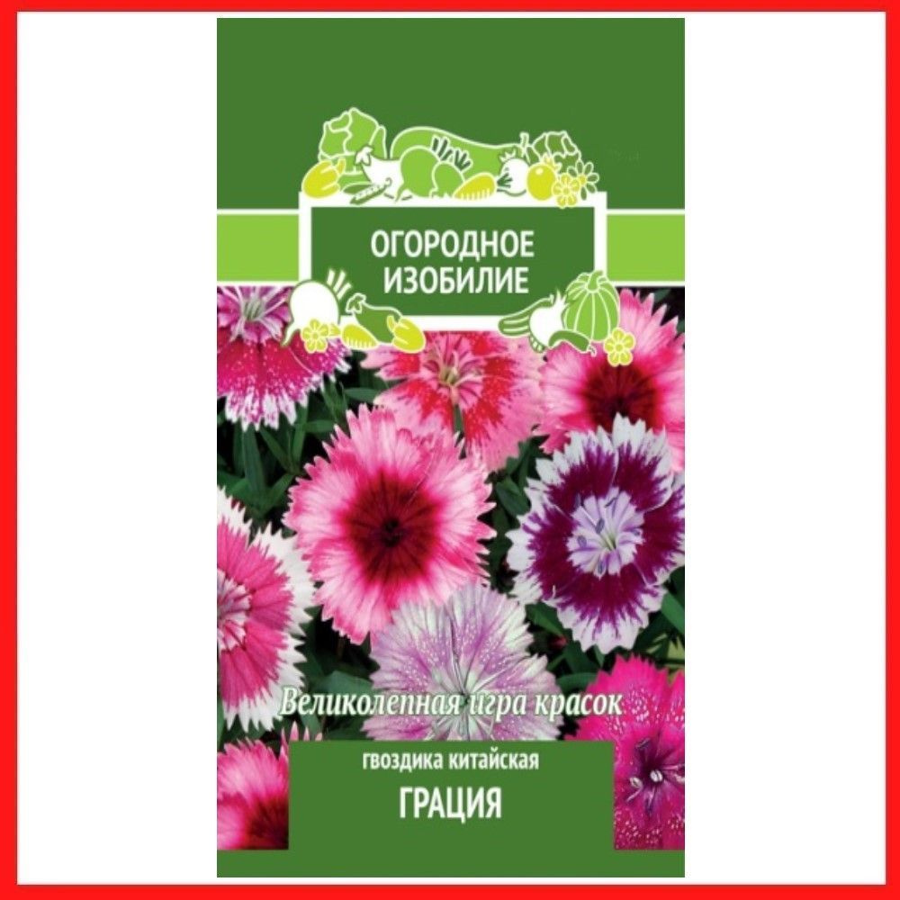 Гвоздики однолетние ПОИСК Агрохолдинг Гвоздика Китайская  Империалис_розовый_малиновый_лиловый - купить по выгодным ценам в  интернет-магазине OZON (981235668)