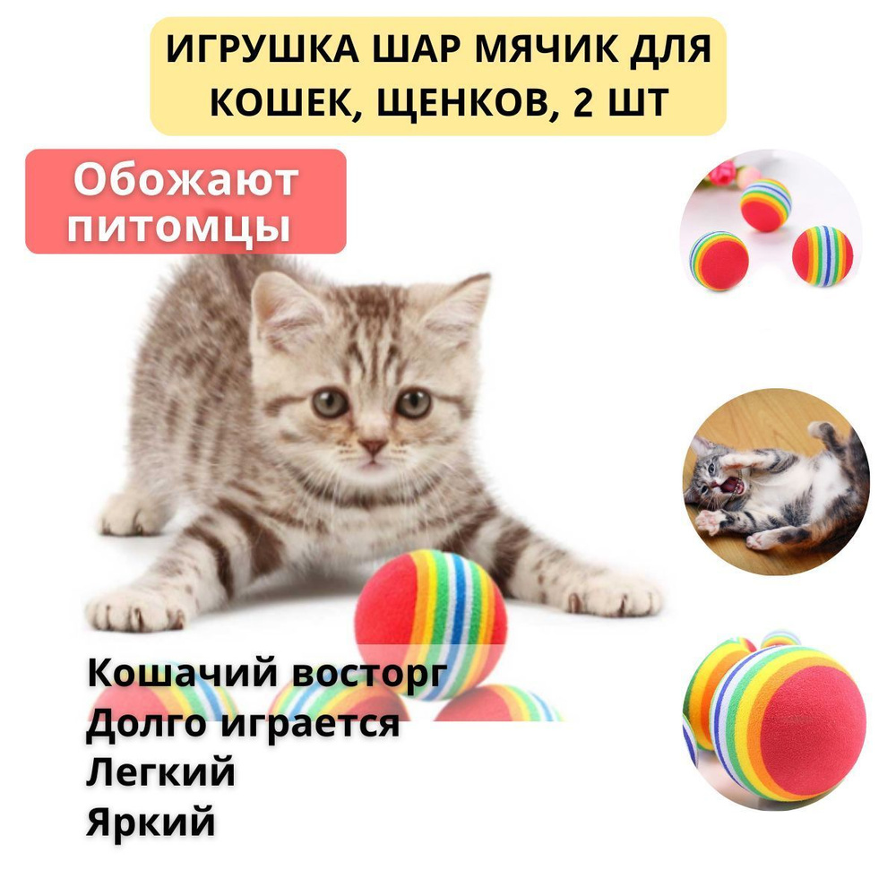 Игрушка - дразнилка для кошек и котят / мячик - шарик / 2шт, 0xHOME -  купить с доставкой по выгодным ценам в интернет-магазине OZON (581412309)