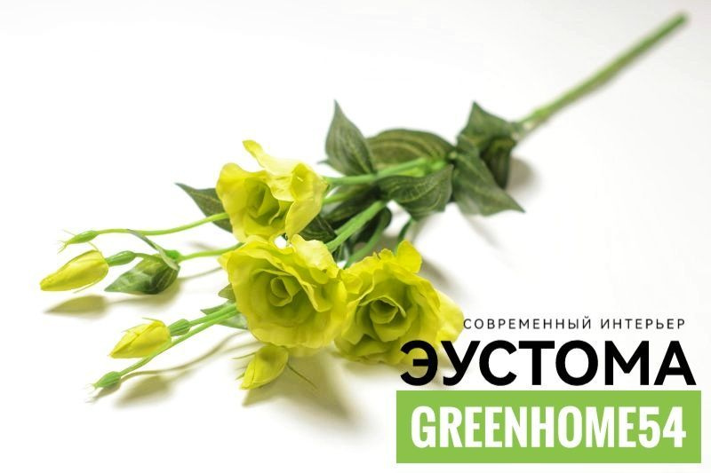 GreenHome54 Ветка, шишка декоративная,1шт #1