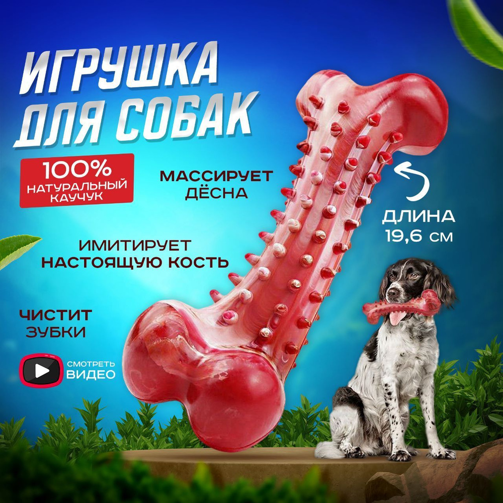 Игрушка для собак кости, прочная, резиновая косточка - купить с доставкой  по выгодным ценам в интернет-магазине OZON (1004711026)