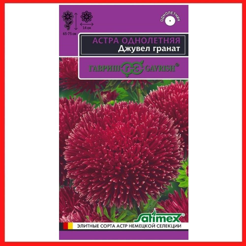 Семена Астра игольчато-коготковая "Джувел Гранат" 0,05 гр, однолетние цветы для дачи, сада и огорода, #1