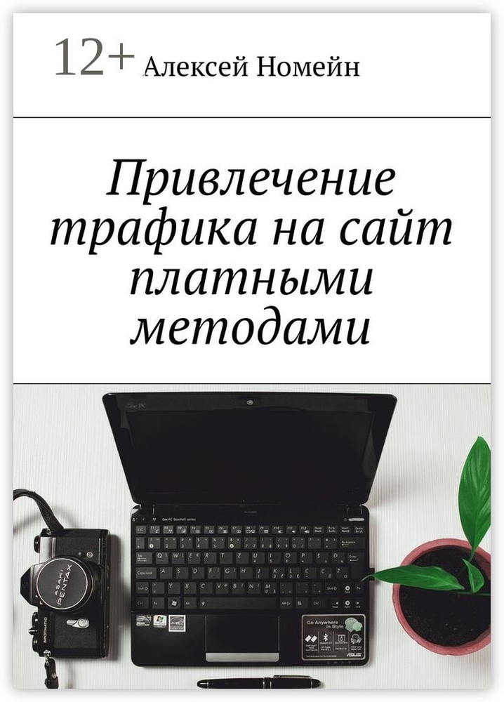 Привлечение трафика на сайт платными методами | Номейн Алексей #1